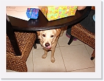 7th Birthday (9) * 2048 x 1536 * (1.34MB)
